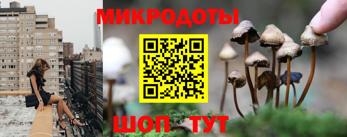 Туймазы  Псилоцибиновые грибы Psilocybine cubensis  Псилоцибиновые грибы прущие грибы  Вход с VPN 
